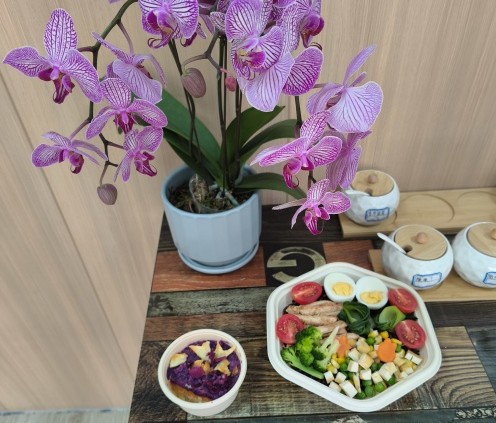 苍野云禾轻食碗